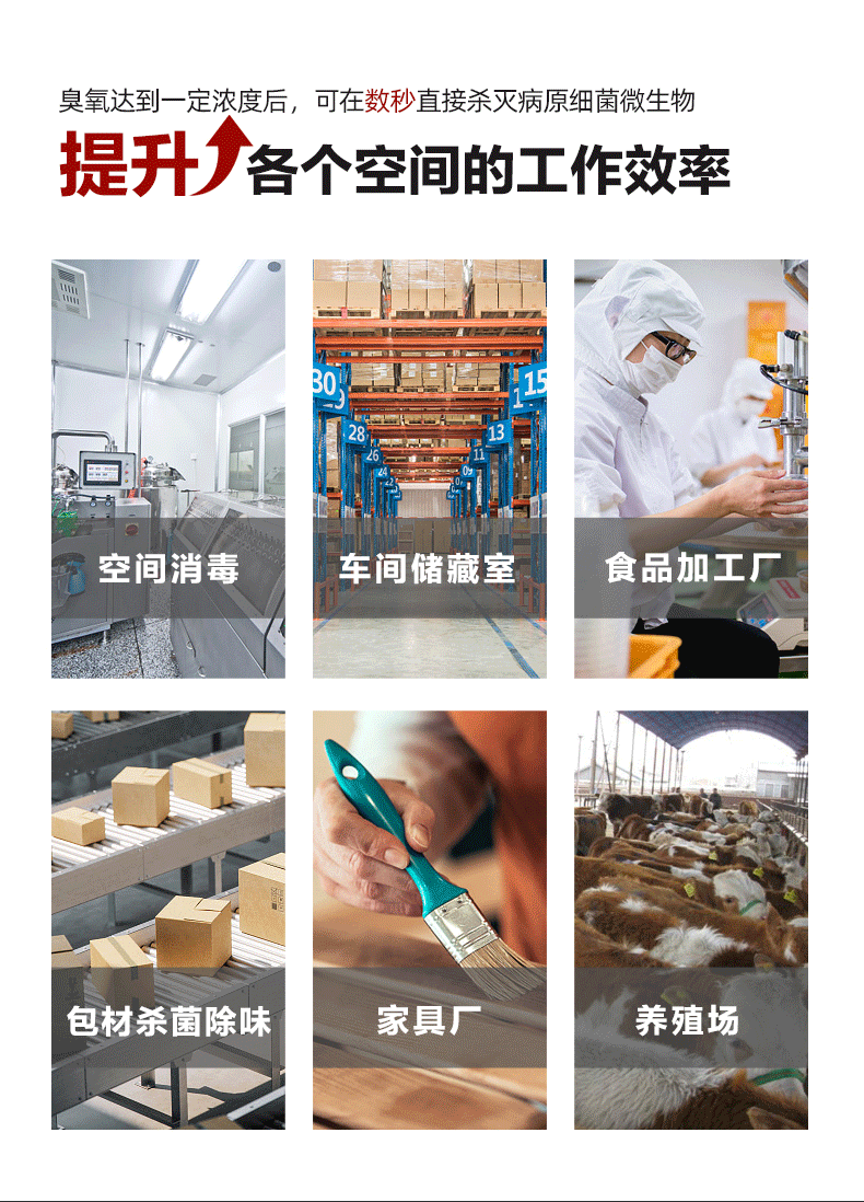 兰蒂斯臭氧消毒机