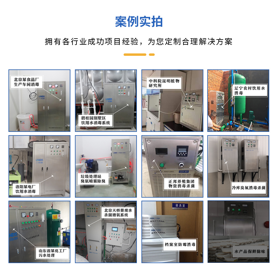 水处理臭氧发生器 水处理臭氧发生器